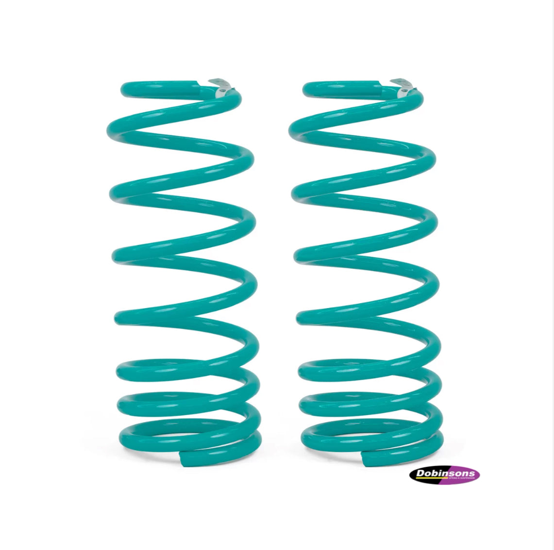 Dobinsons Rear Coil Springs - Dodge Ram 1500 DT